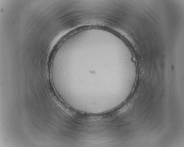 X0000071380927200607212209