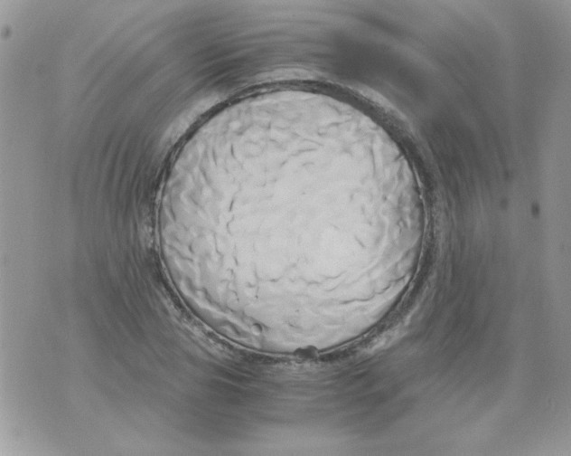 X0000071380929200607212209