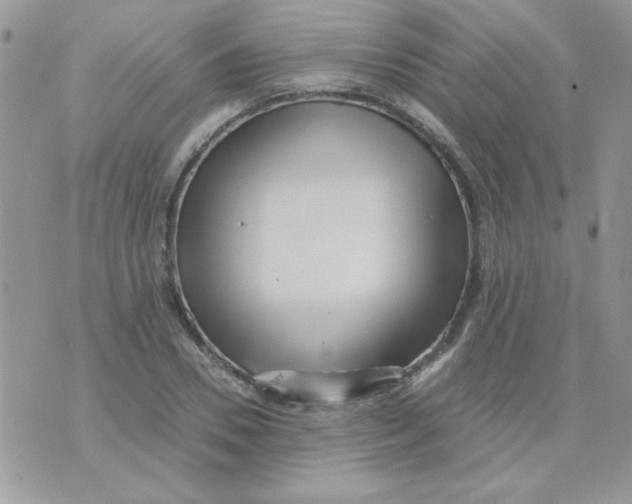 X0000071380930200607212209