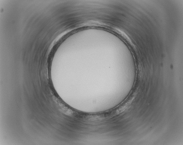 X0000071380931200607212209