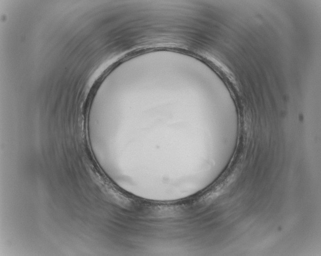 X0000071380933200607212209