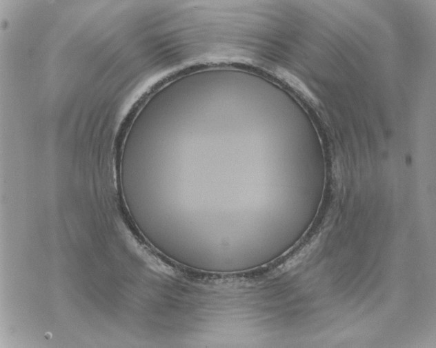 X0000071380934200607212209