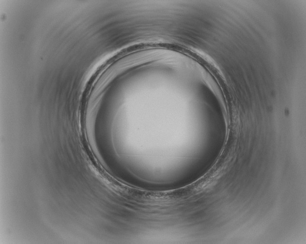 X0000071380935200607212209