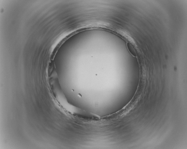 X0000071380936200607212209