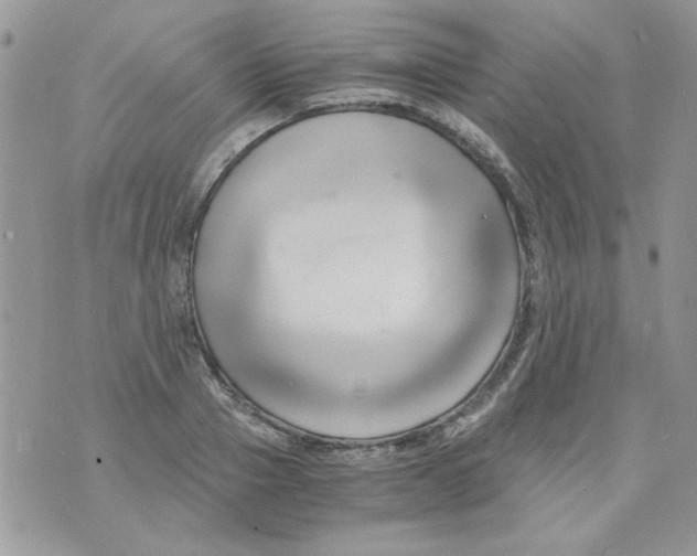 X0000071380937200607212209