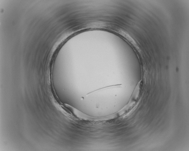 X0000071380939200607212209