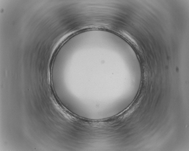 X0000071380940200607212209