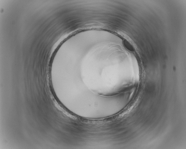 X0000071380941200607212209