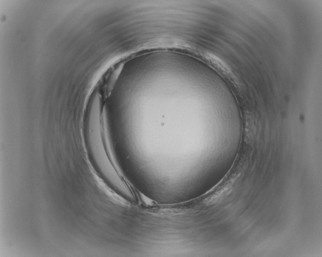 X0000071380942200607212209