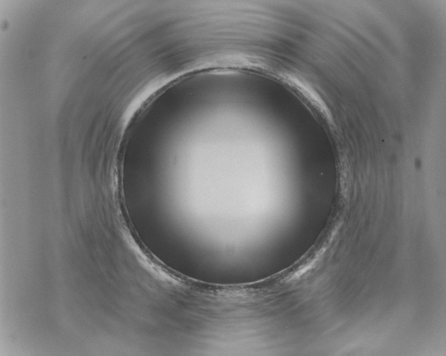 X0000071380944200607212209