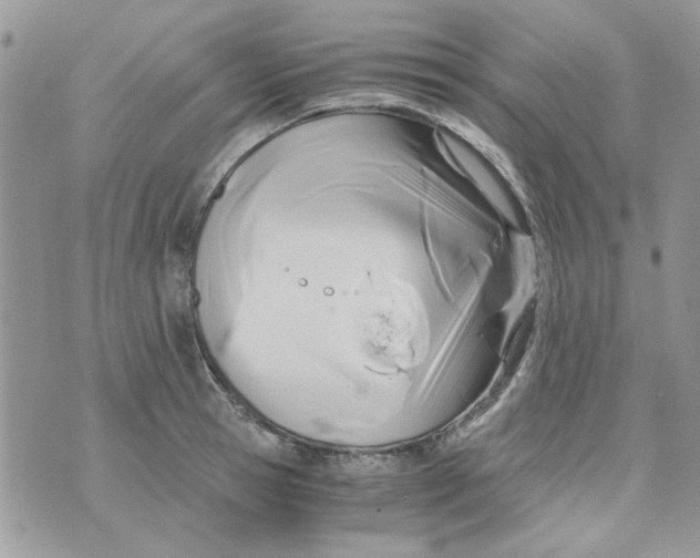 X0000071380945200607212209