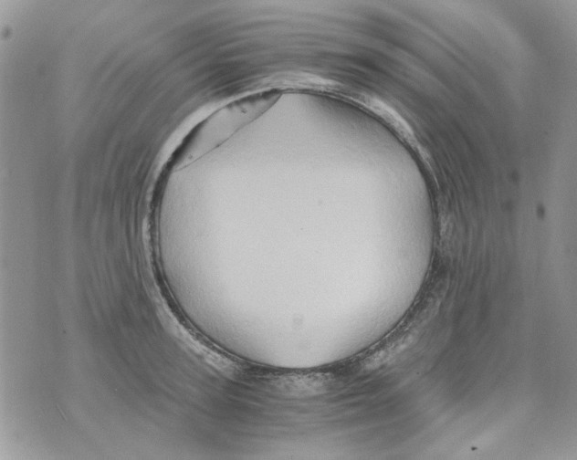 X0000071380947200607212209