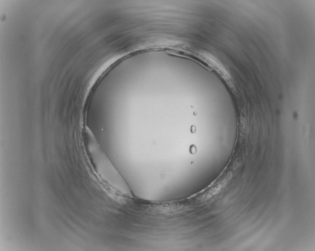 X0000071380948200607212209