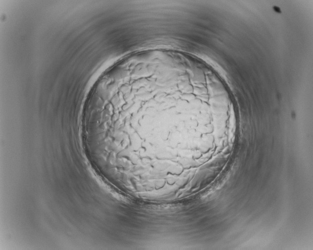 X0000071380949200607212209