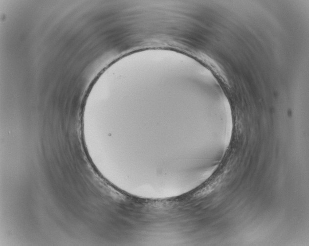 X0000071380950200607212209