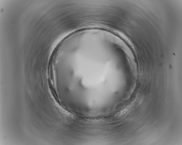 X0000071380951200607212209