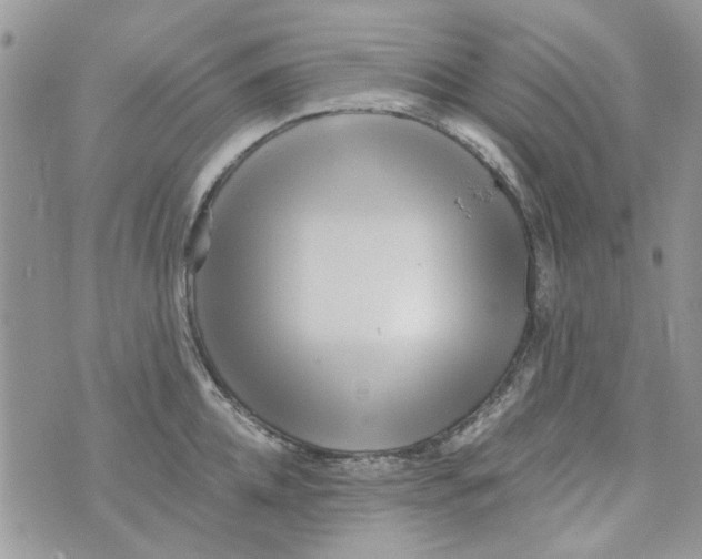 X0000071380952200607212209