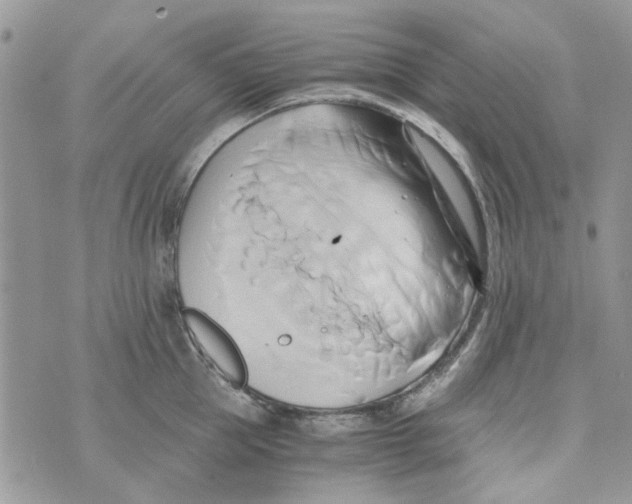 X0000071380953200607212209