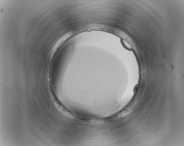 X0000071380954200607212209