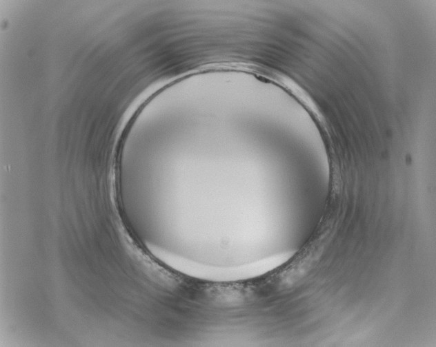 X0000071380955200607212209