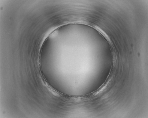 X0000071380956200607212209