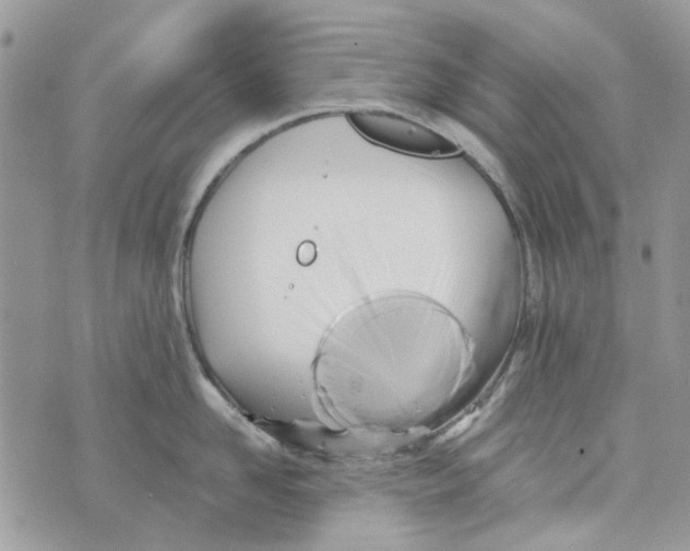 X0000071380958200607212209