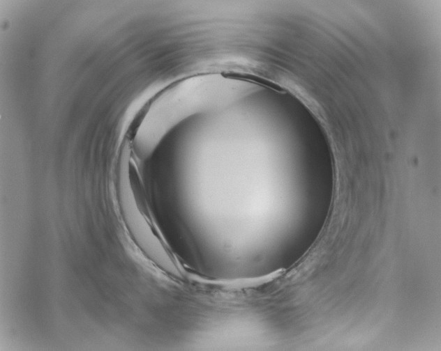 X0000071380960200607212209