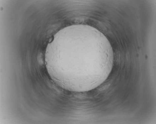 X0000071380962200607212208