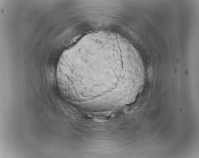 X0000071380963200607212208