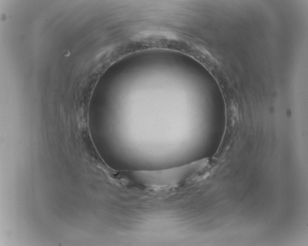 X0000071380965200607212208