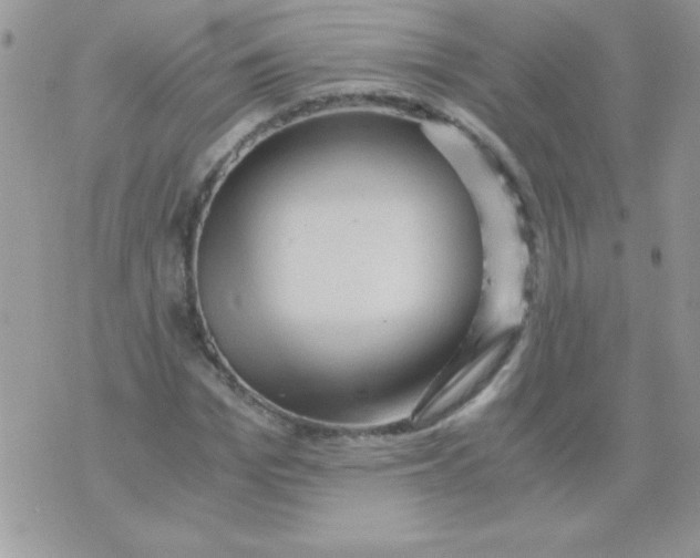 X0000071380969200607212208