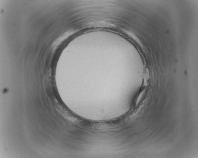 X0000071380971200607212208