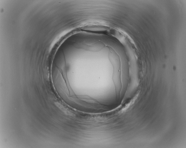 X0000071380973200607212208