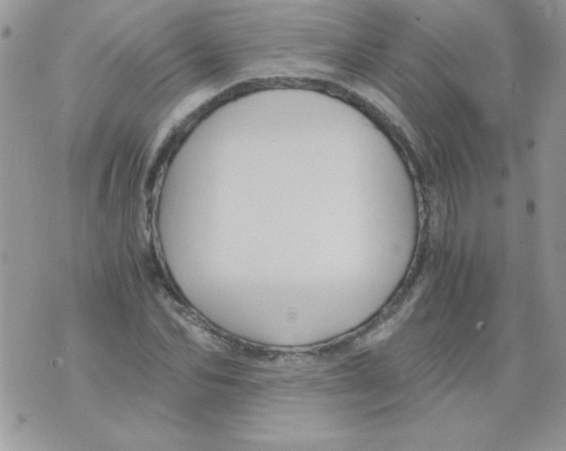 X0000071380974200607212208