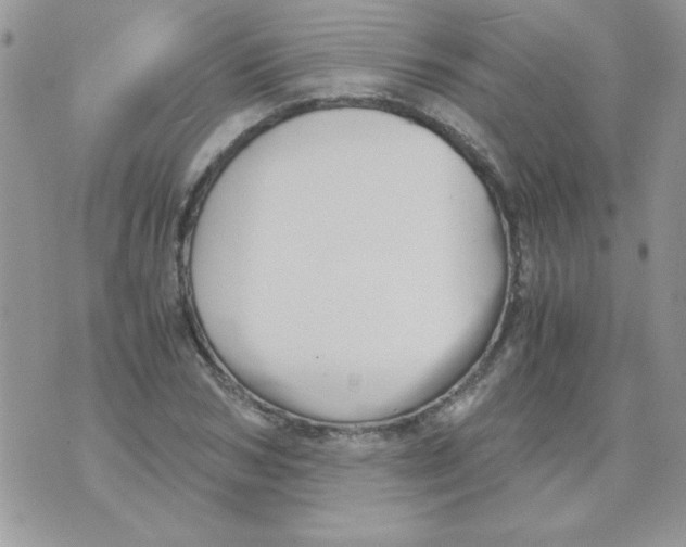 X0000071380978200607212208