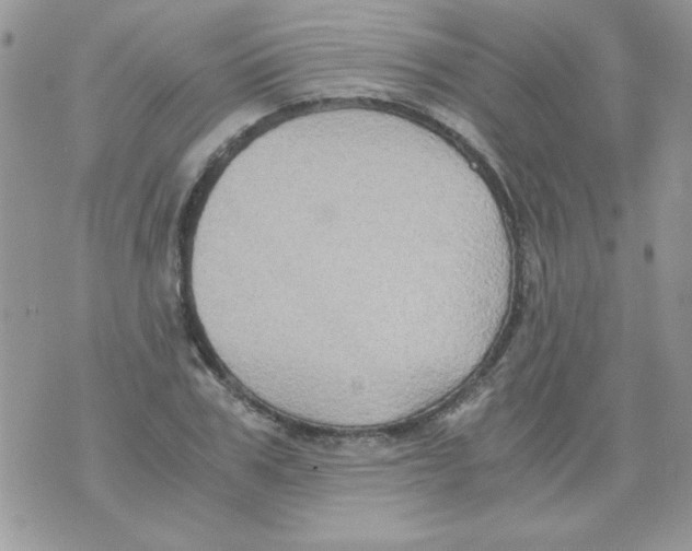 X0000071380979200607212208