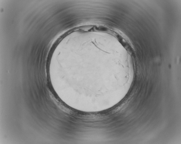 X0000071380980200607212208