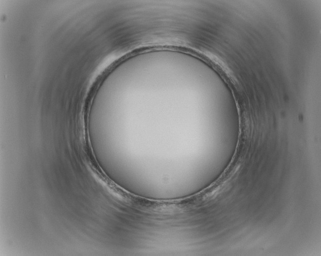 X0000071380982200607212208