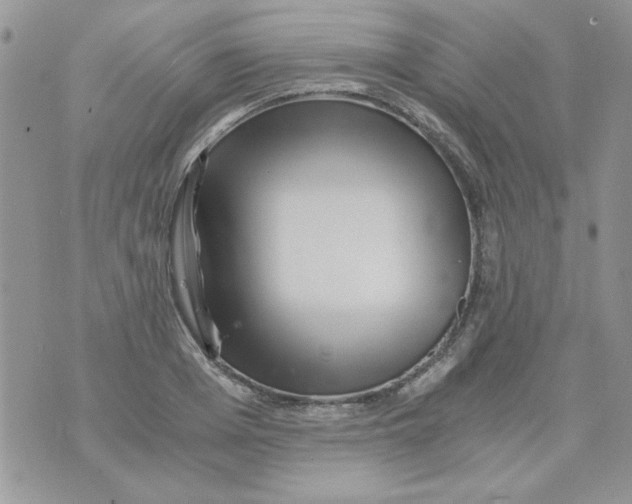 X0000071380985200607212208