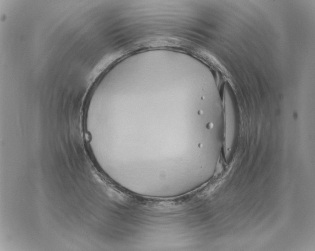 X0000071380986200607212208