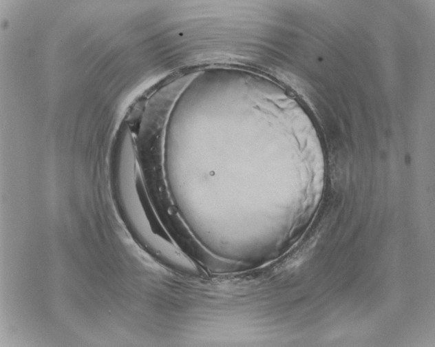 X0000071380987200607212208