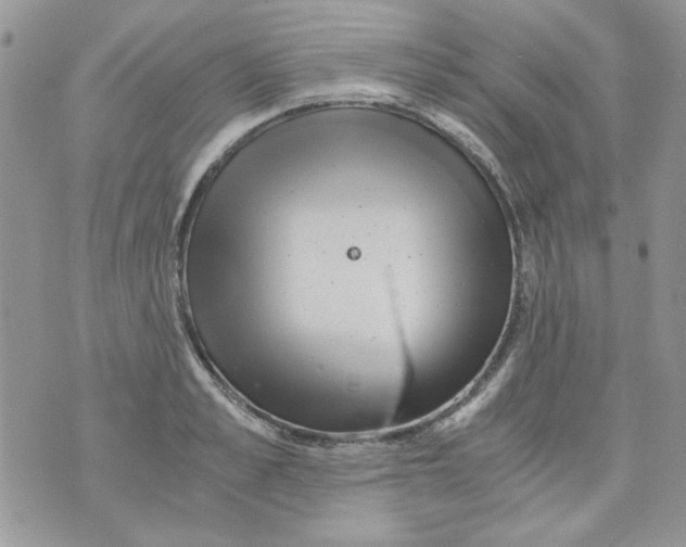 X0000071380989200607212208