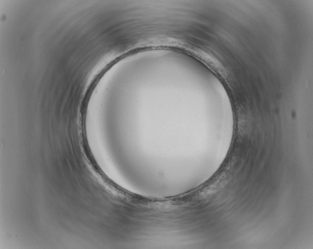 X0000071380990200607212208