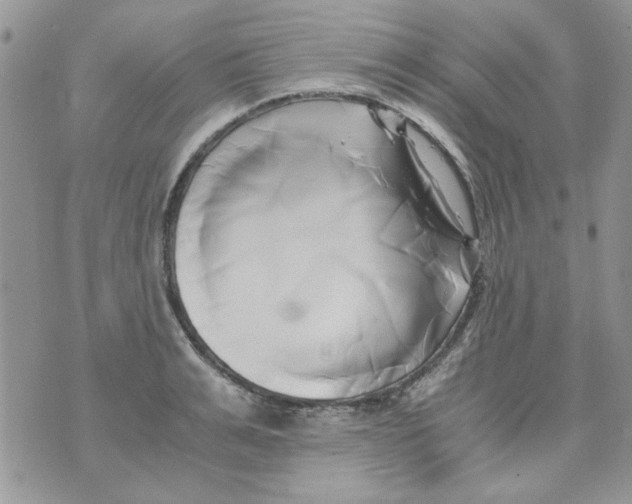 X0000071380991200607212208