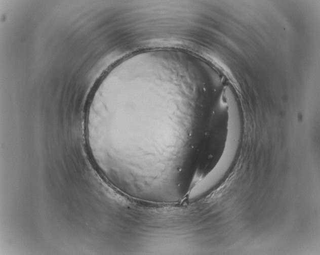 X0000071380992200607212208