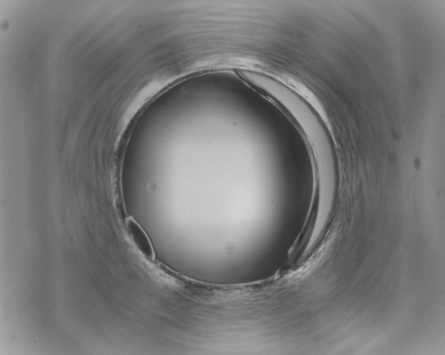 X0000071380997200607212208