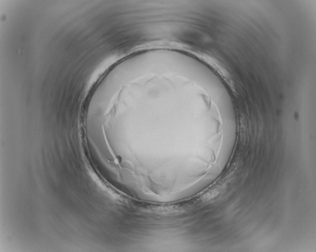 X0000071380998200607212208