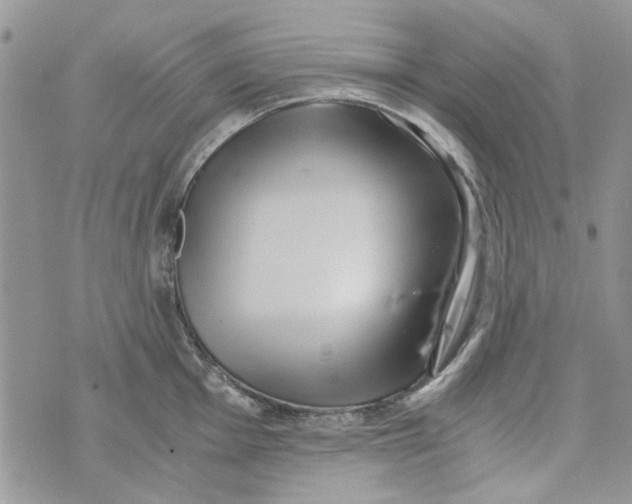 X0000071381001200607212208