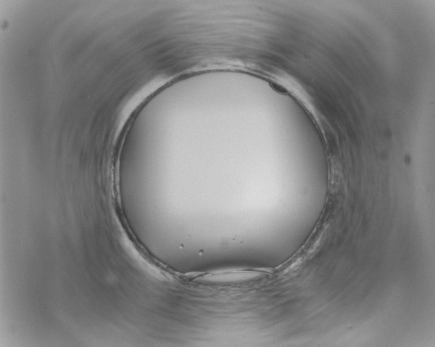 X0000071381003200607212208