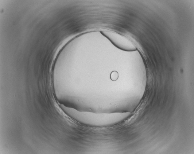 X0000071381004200607212208